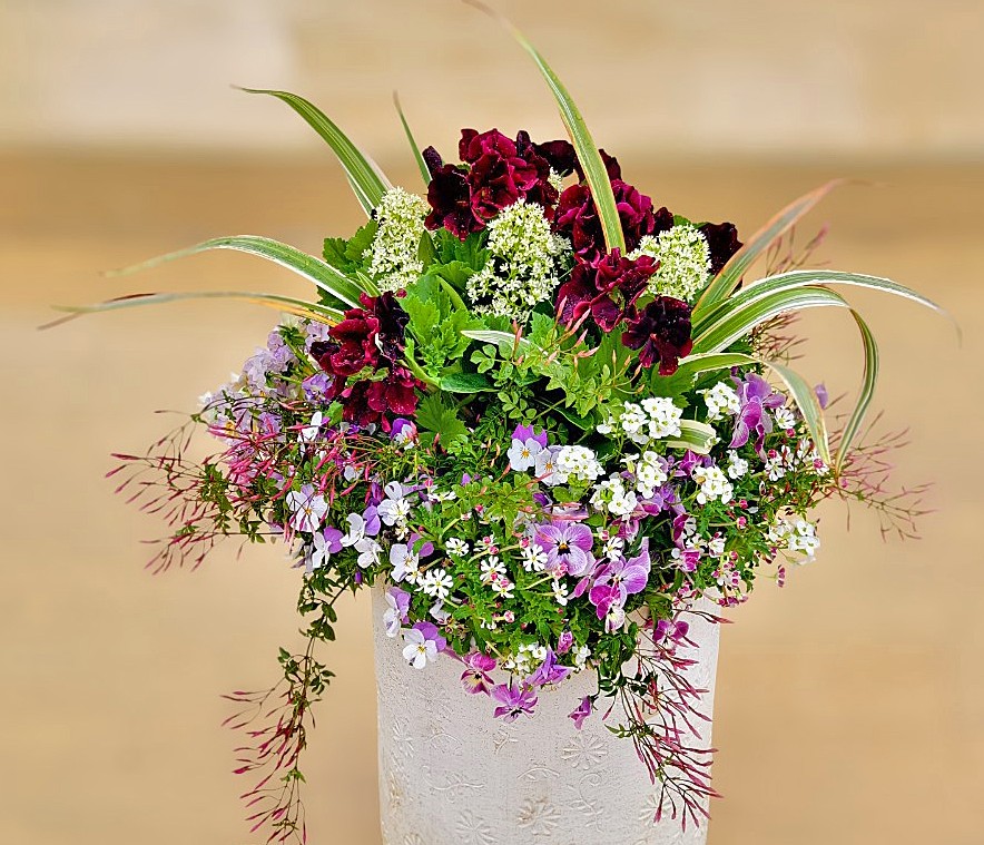 4月19日(日) 開催【お花の寄せ植えギャザリング教室】