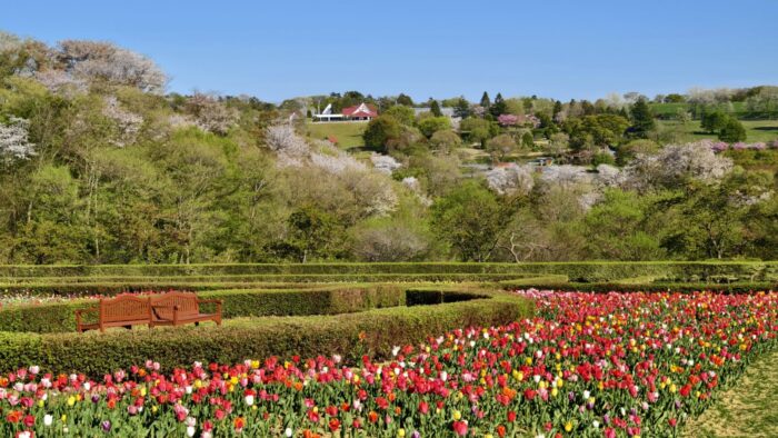 GWおすすめの撮影場所、景色