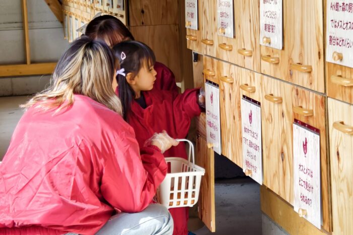 たまごの学校