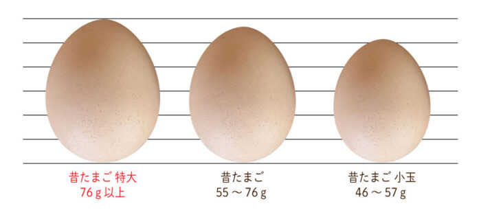 びっくり特大たまご！