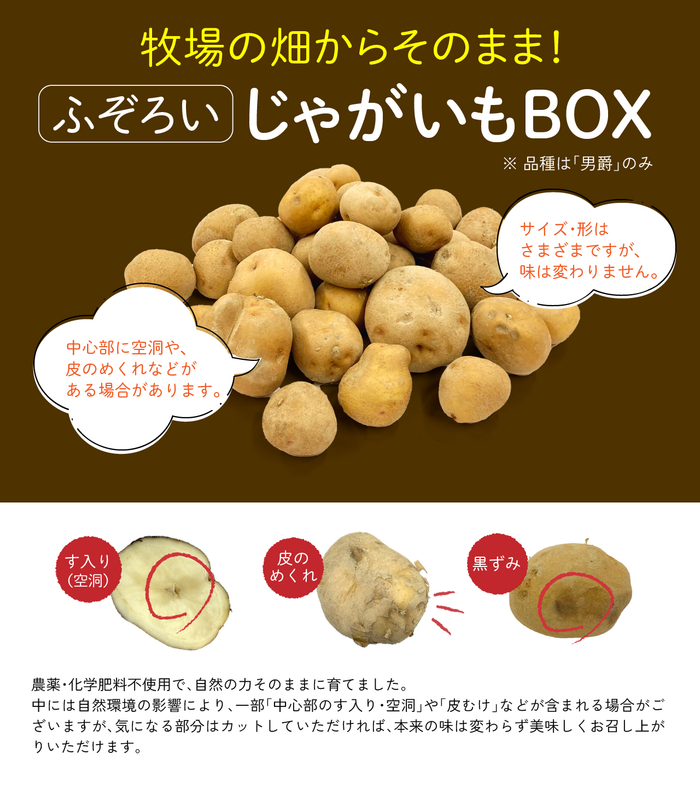 大人気！じゃがいも３種・男爵・きたあかり・メークイン