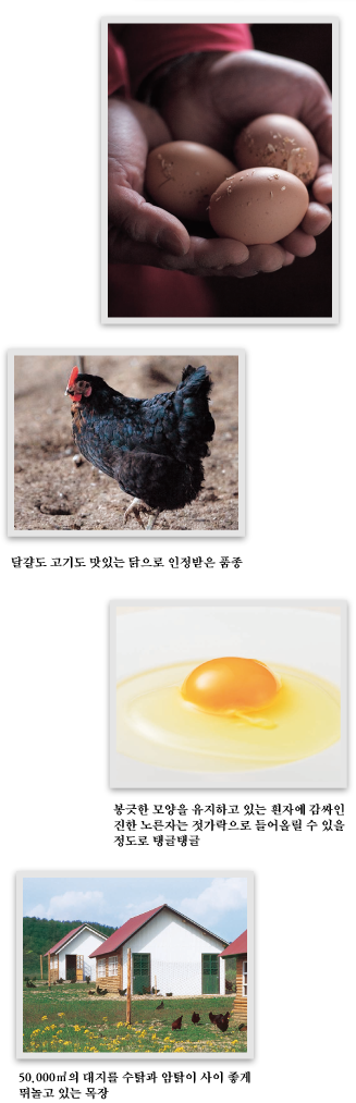 달걀도 고기도 맛있는 닭으로 인정받은 품종 봉긋한 모양을 유지하고 있는 흰자에 감싸인 진한 노른자는 젓가락으로 들어올릴 수 있을 정도로 탱글탱글 50.000㎡의 대지를 수탉과 암탉이 사이 좋게 뛰놀고 있는 목장