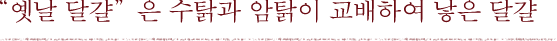 “옛날 달걀”은 수탉과 암탉이 교배하여 낳은 달걀
