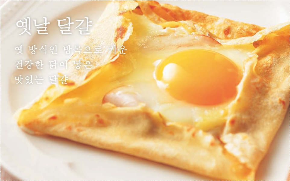 옛날 달걀 옛 방식인 방목으로 키운 건강한 닭이 낳은 맛있는 달걀