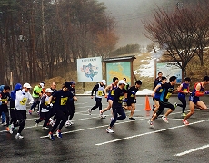 바람 축제(다테가모리 마라톤)