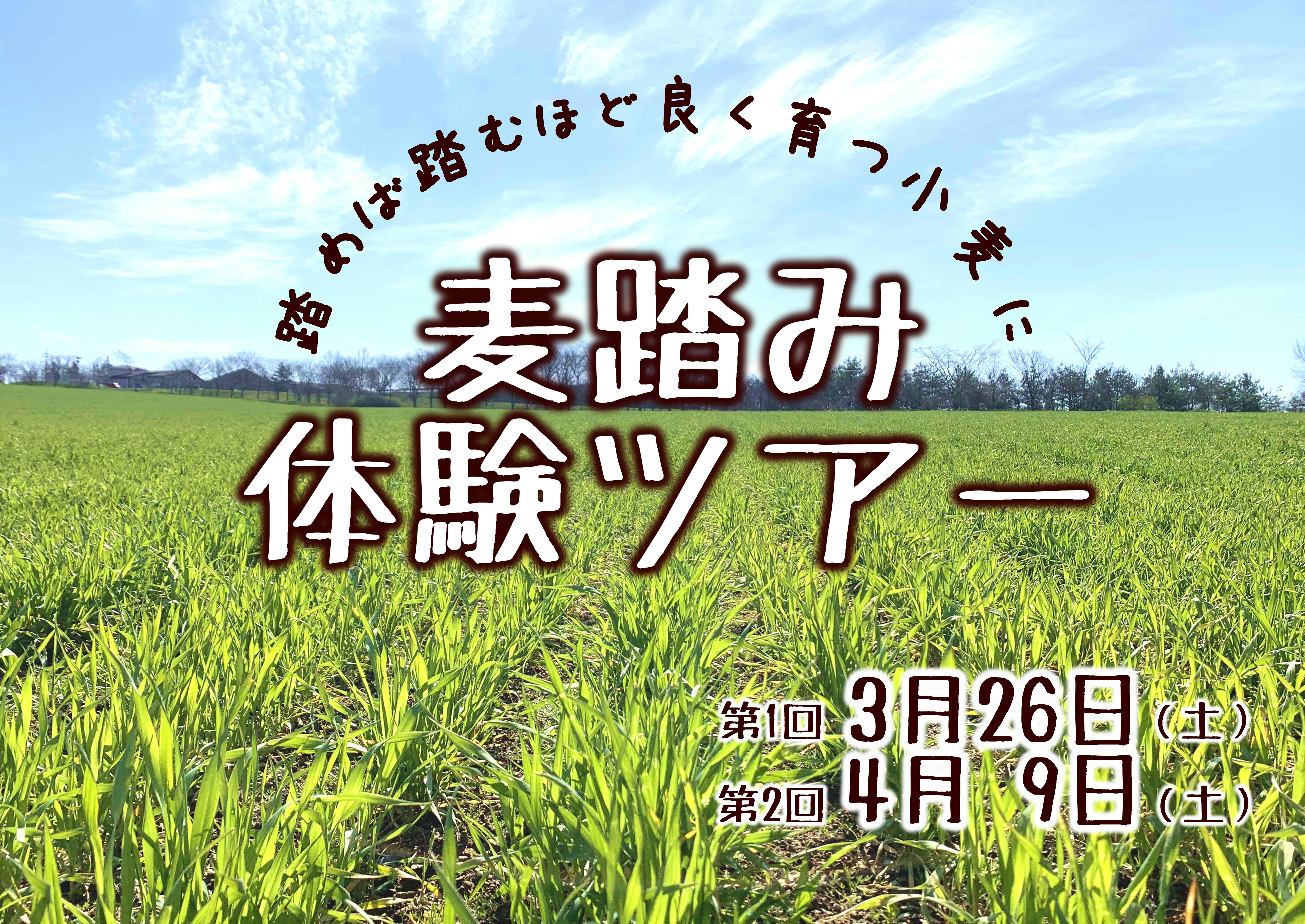 麦踏み体験ツアー 第1回 記事詳細 館ヶ森アーク牧場