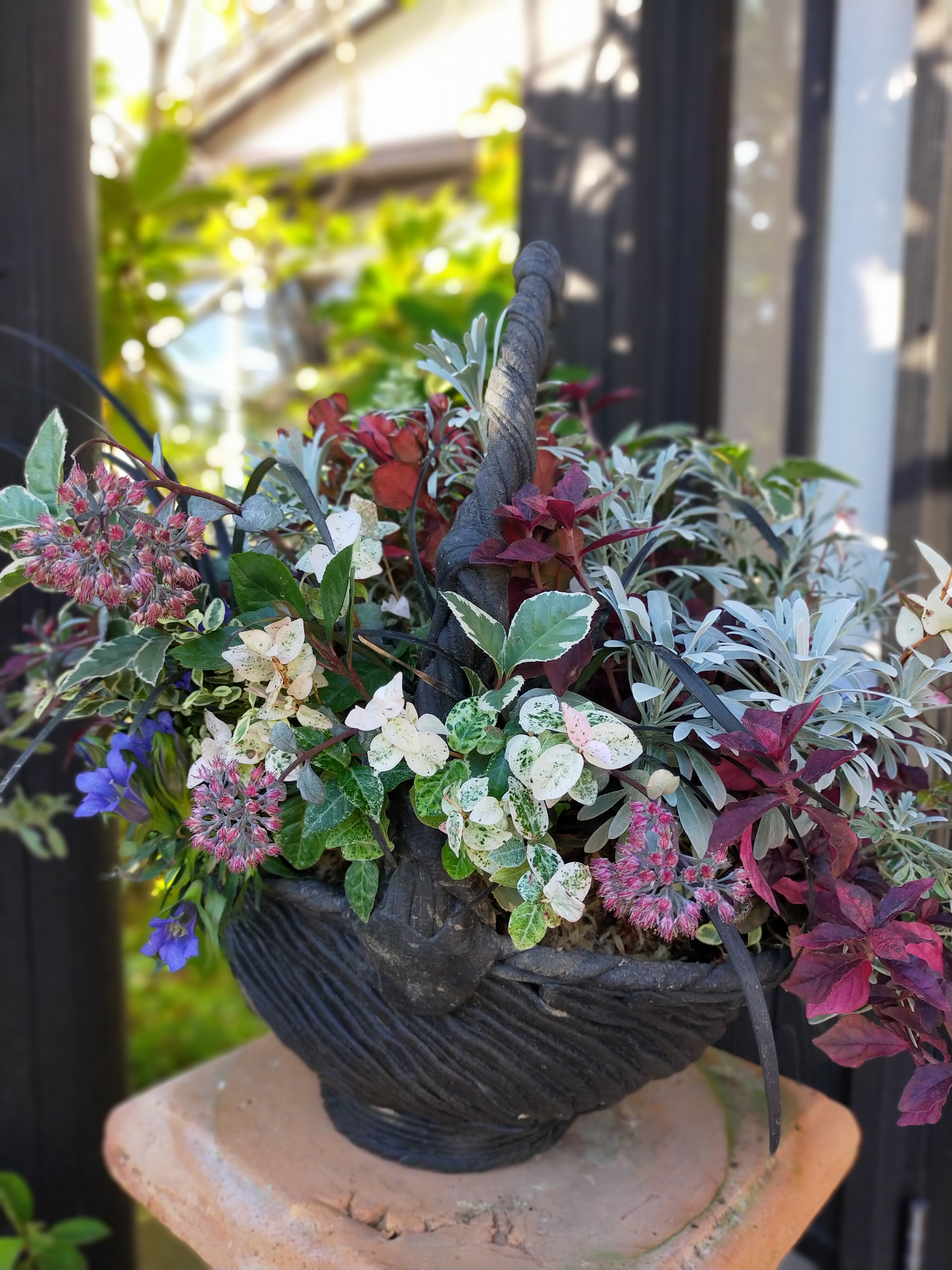 プランツ ギャザリング教室 開催 記事詳細 館ヶ森アーク牧場